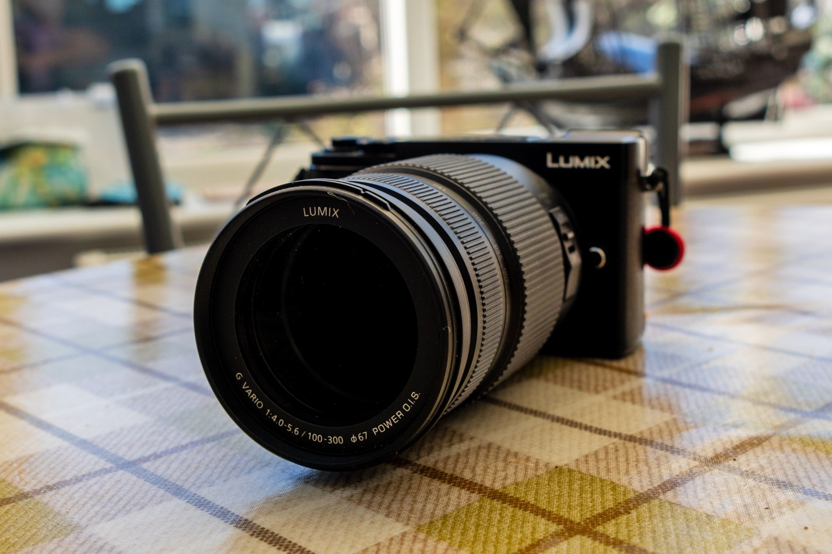 #14 Panasonic Lumix G-Vario 100-300mm f/4.0-5.6 II